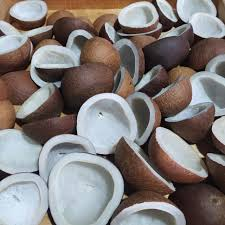 COCONUT DRY