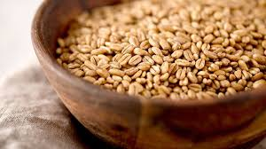 WHEAT MULTI BRANDS