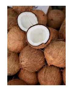''100 PIECE'' DRY COCONUT MEDIUM SIZE 