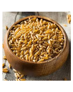 "NARMADA GOLD" SHRABATI PREMIUM WHEAT 30KG (NEW)