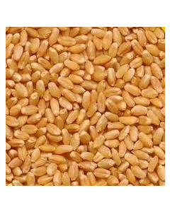 "RED LEBAL" PREMIUM QUALITY WHEAT 30KG
