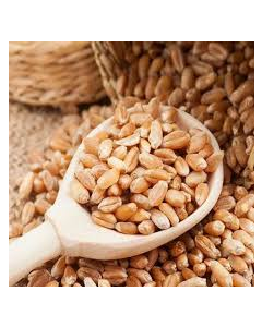 "SIDDHARTH" SHARBATI WHEAT 30KG LOOSE BAG