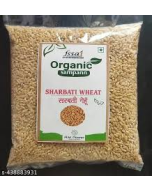 "CHANDOSI" PREMIUM QUALITY SHARBATI WHEAT 30KG BAG (FRESH STOCK)